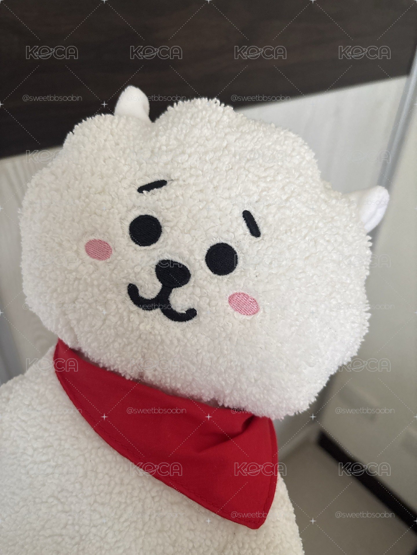 BT21 RJ 初代娃
