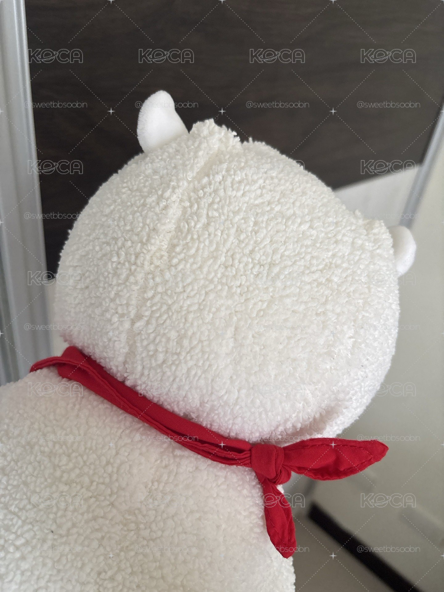 BT21 RJ 初代娃