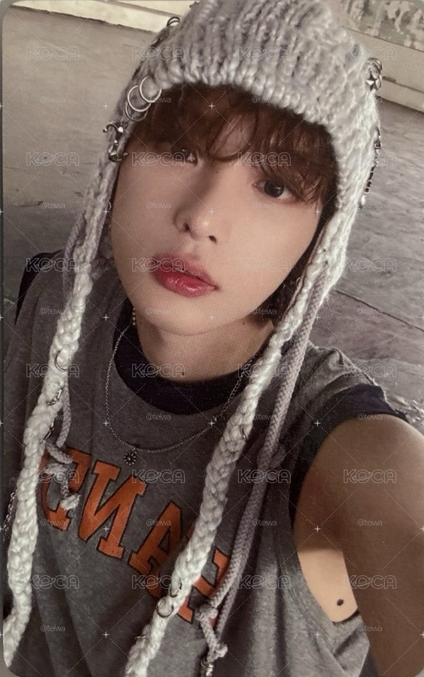 毛帽🐰