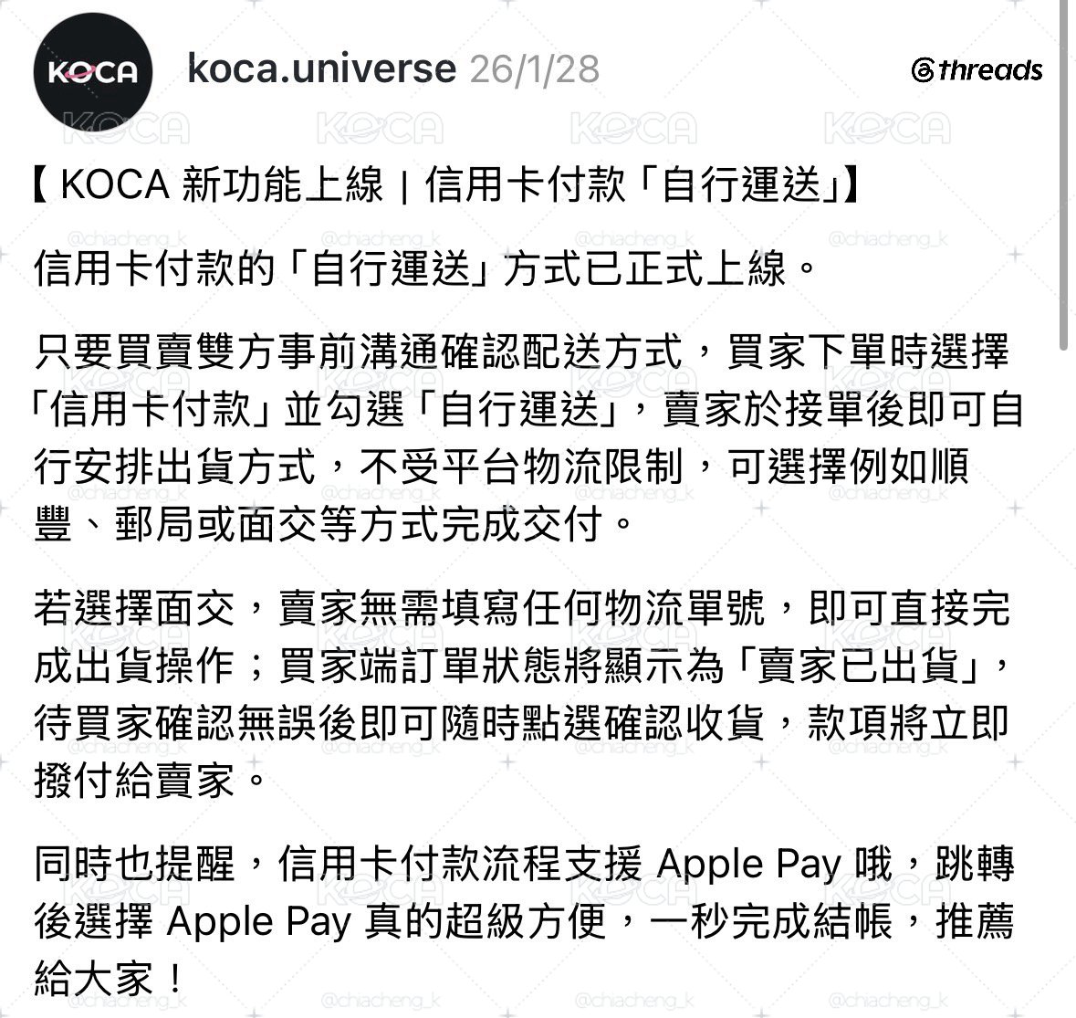 ［現貨］NMIXX世巡日場周 莉莉扇套