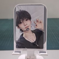 N貓爪