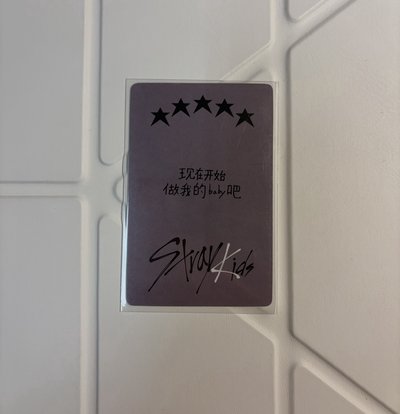 小羊中背