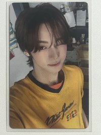 韓振