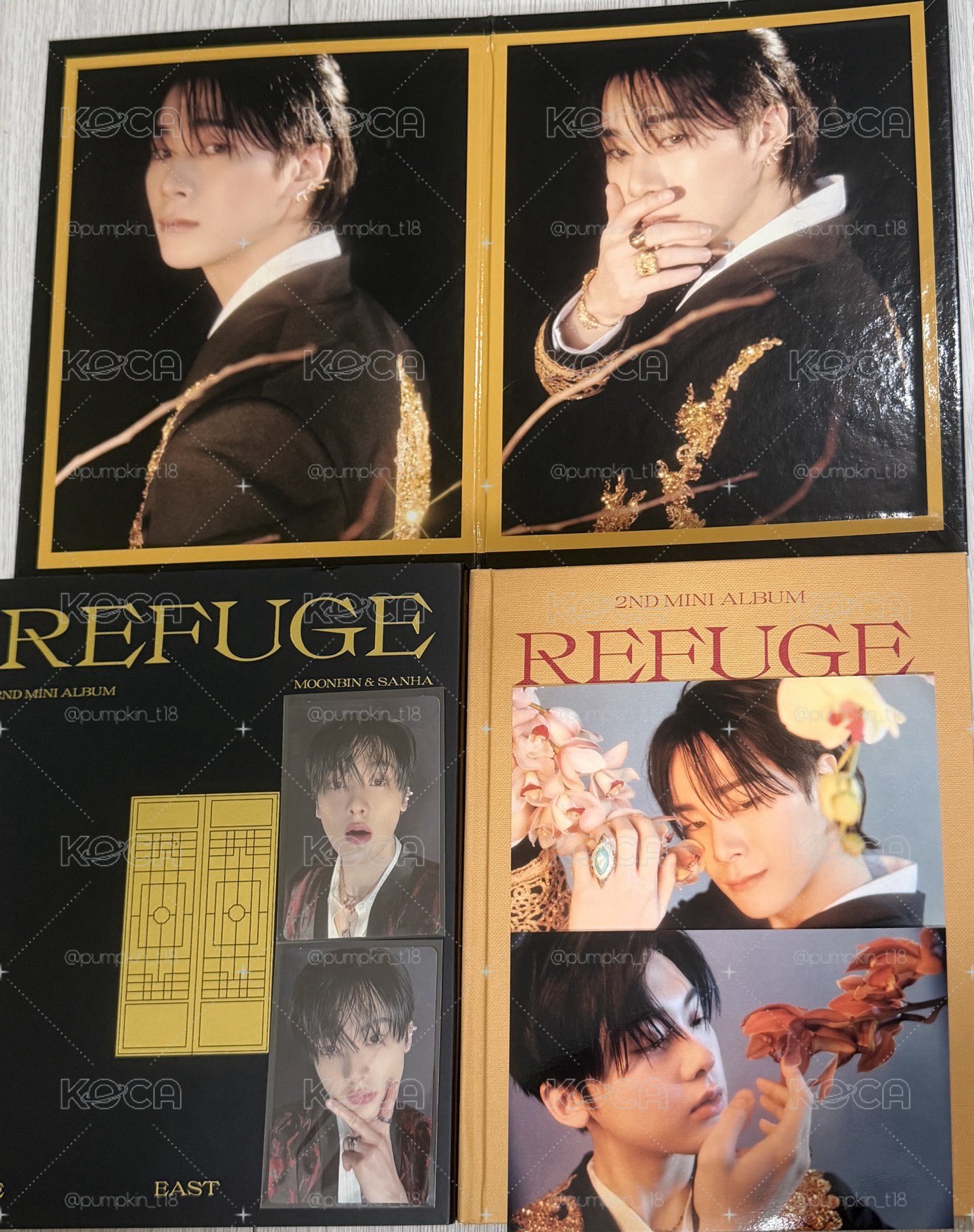 Astro 花生分隊已拆全專The East.ver