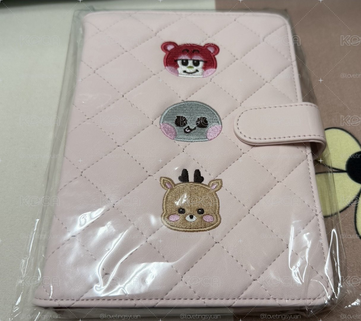 Riize Hug卡冊(沒有小卡、吊飾）