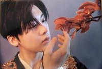 花生迷二 The East.ver 明信片 