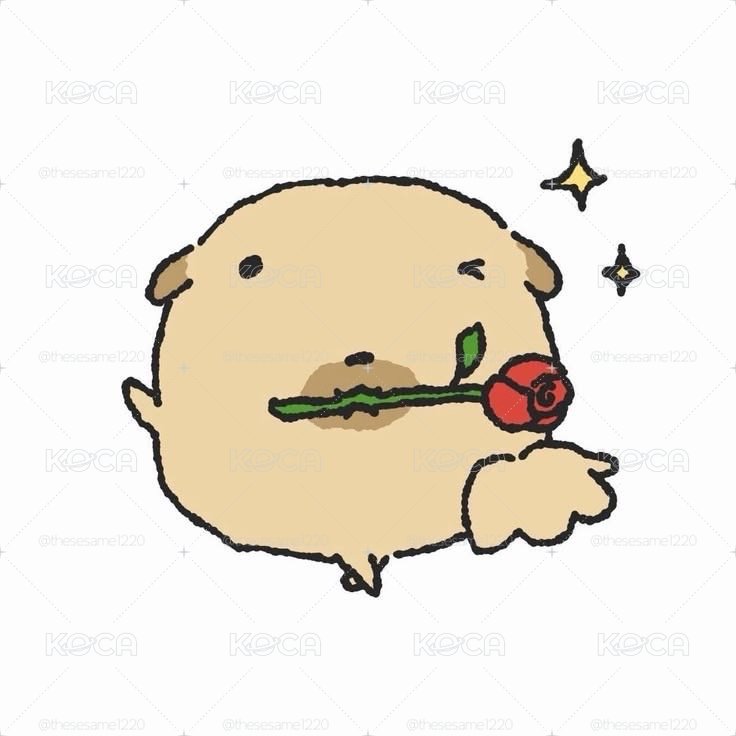 加購貴婦包裝 ໒꒱⋆⁺₊⋆