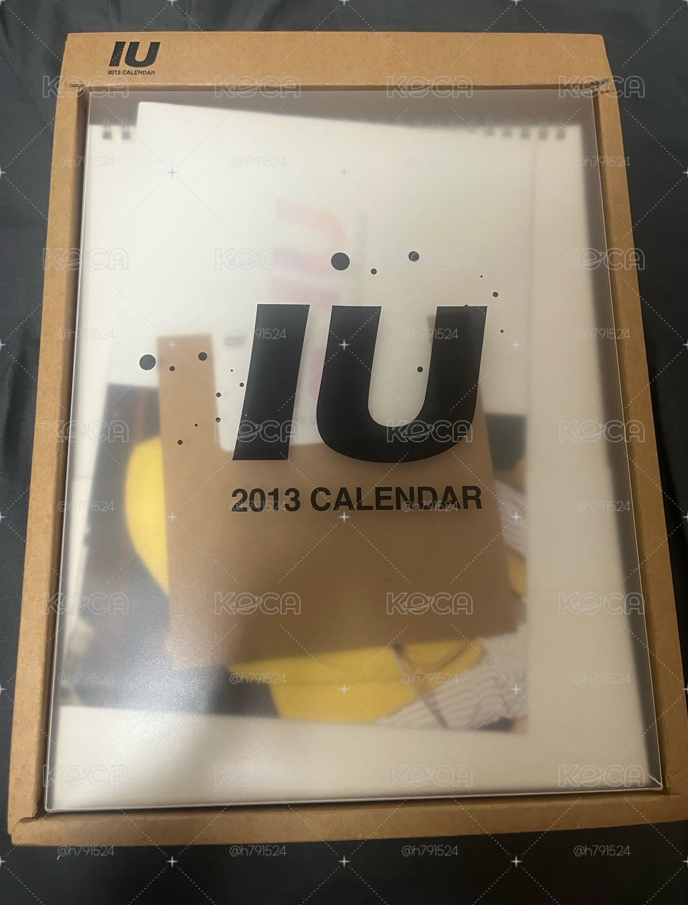 IU 李知恩 2013年曆
