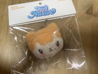 夏日大臉栗子