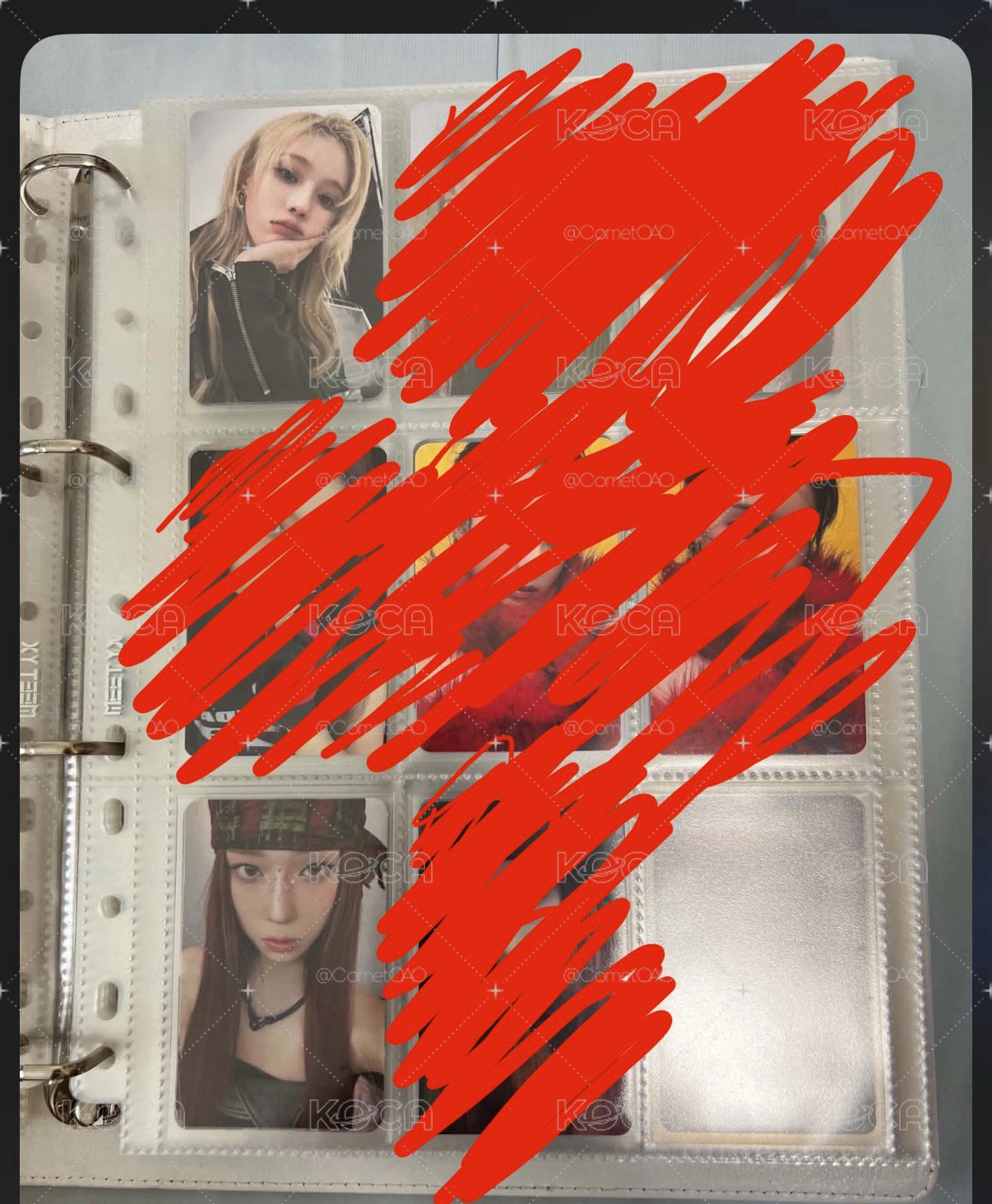 冬小盤