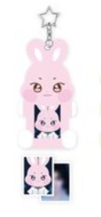 ANITEEZ IN Deja Vu 卡套 (組) ACRYLIC MAGNETIC ID PHOTO HOLDER