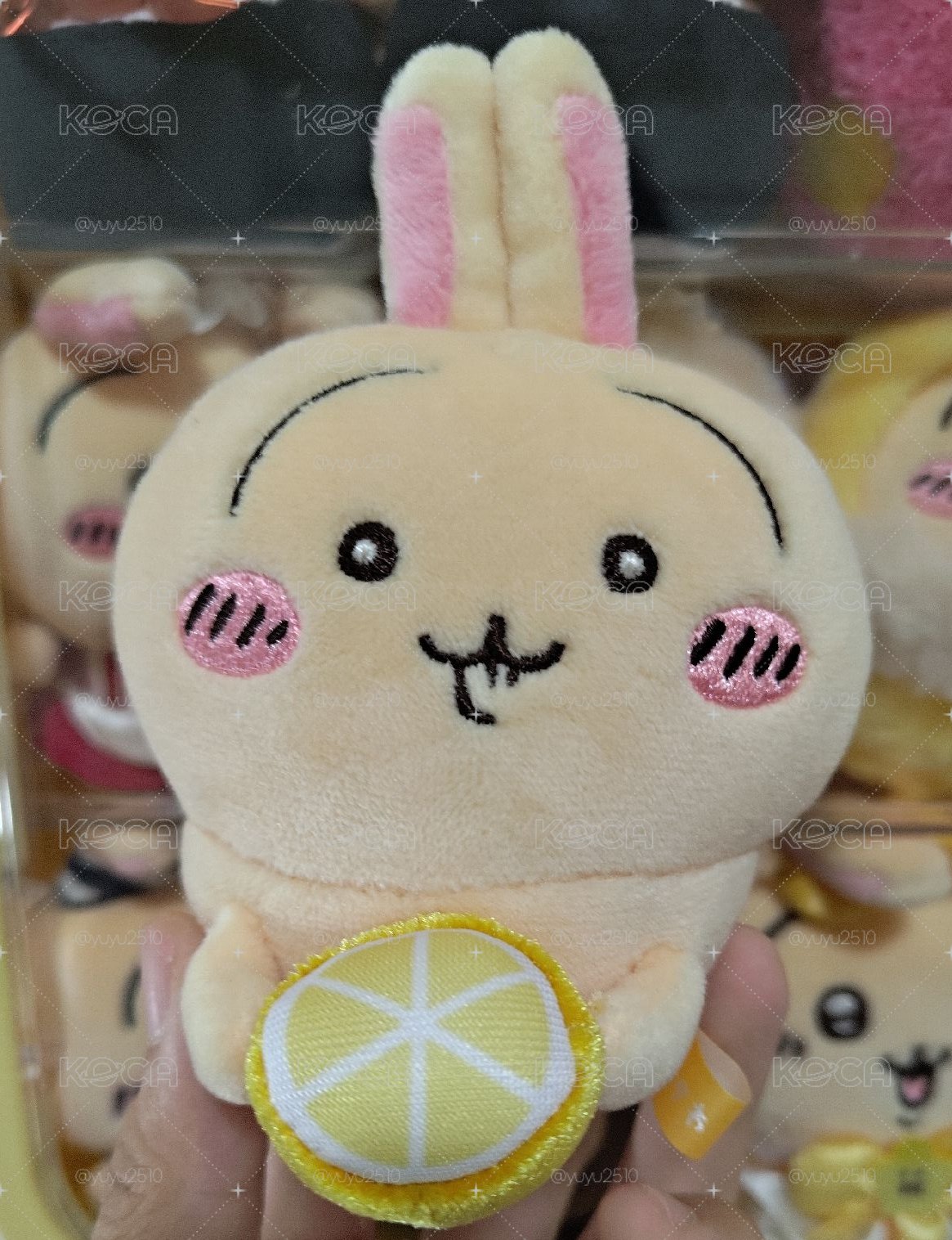 檸檬兔
