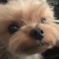 유니