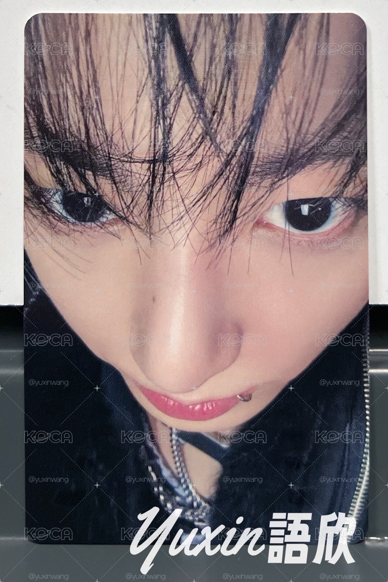 現貨✅ BTS 柾國 ARIRANG 專輯 Weverse JAPAN Festa 特典 小卡