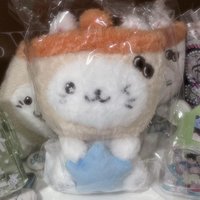 yushi 