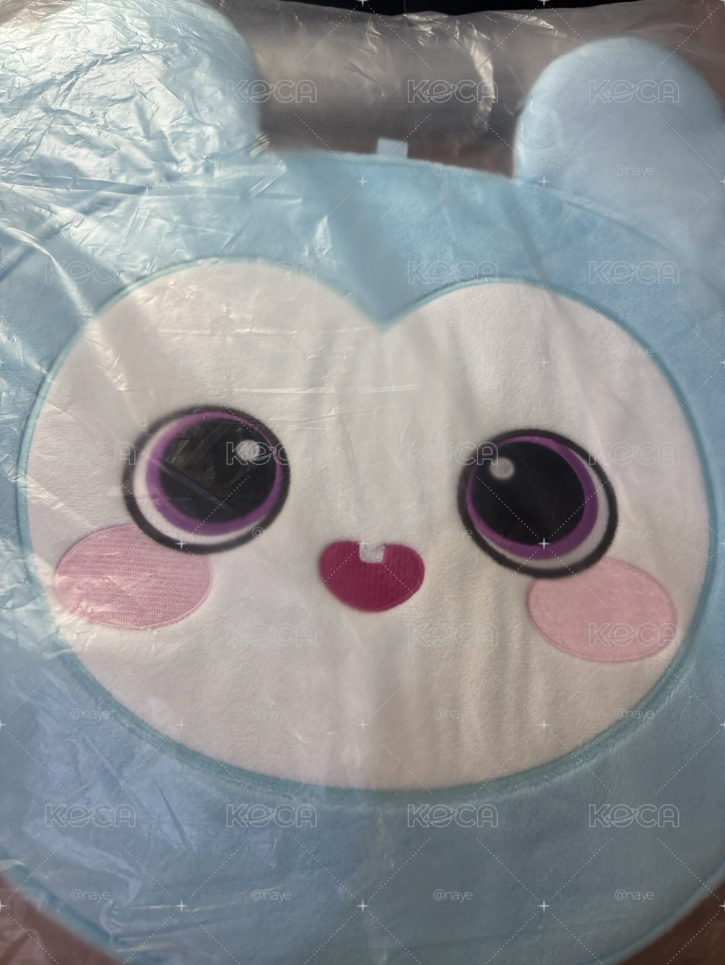 娜璉扇套現貨