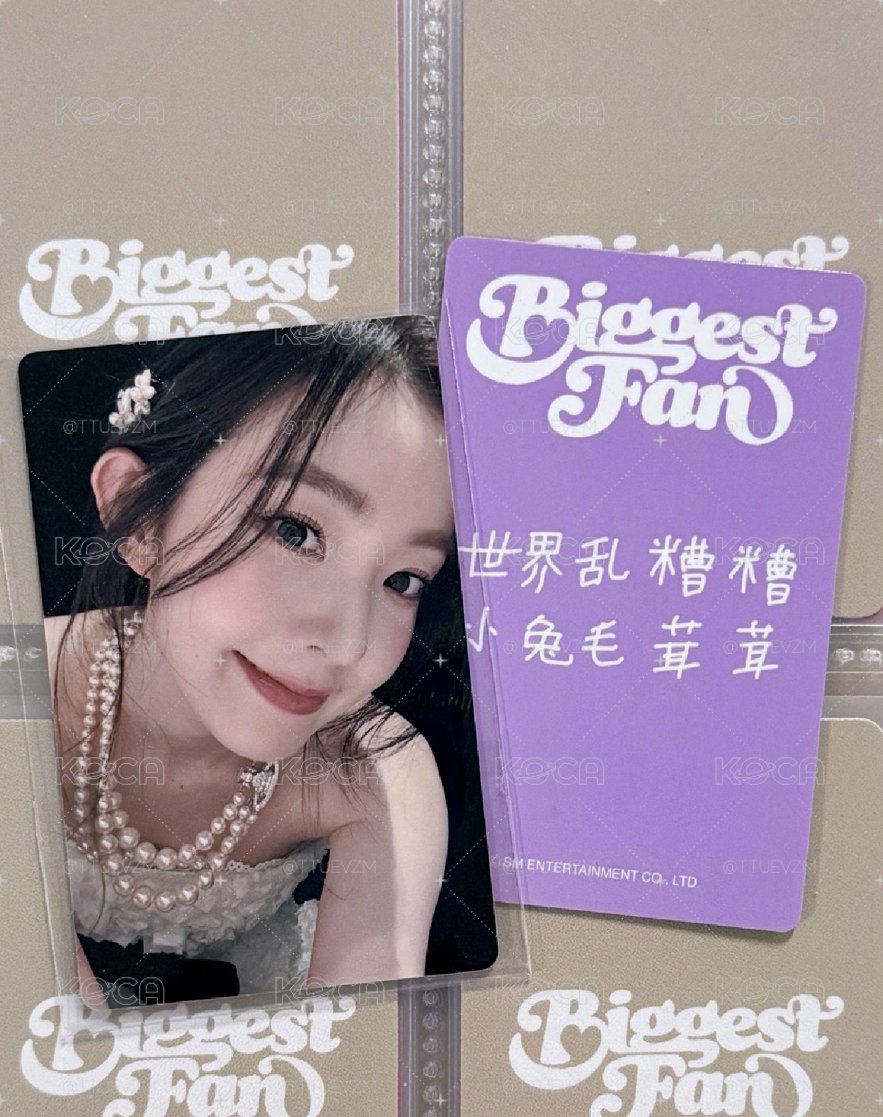 IRENE 深圳合影小芒簽售卡 世界亂糟糟 小兔毛茸茸