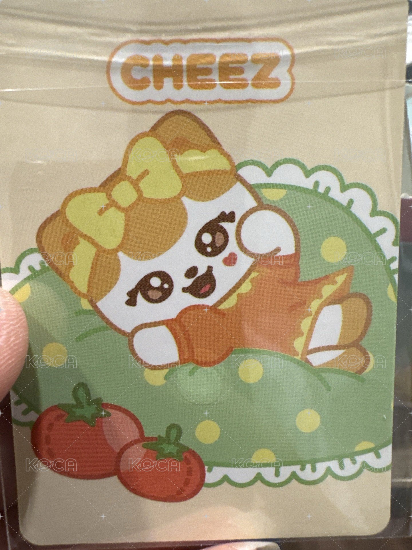 栗帶醜貓