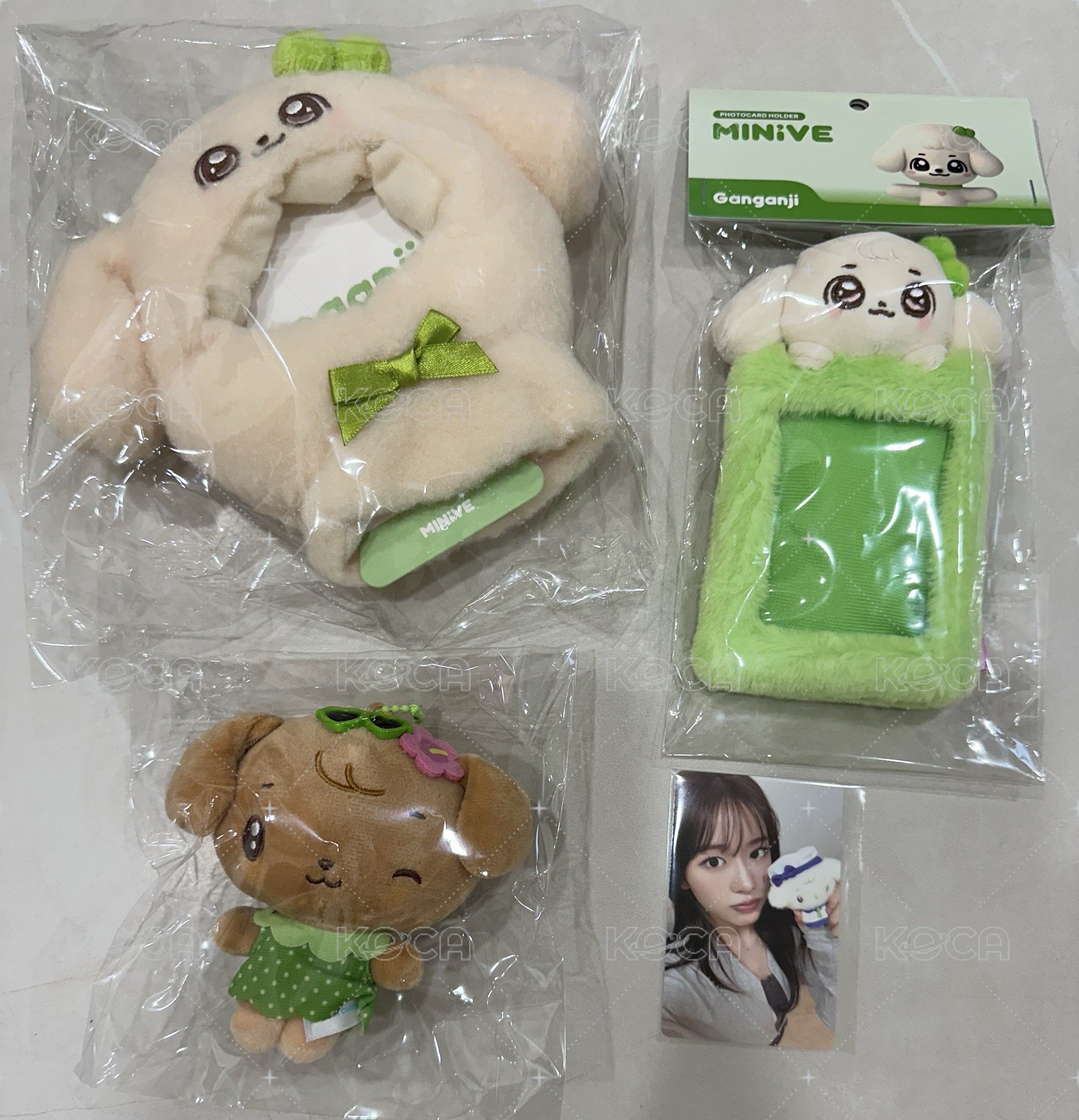 安套組（2號/3號/6號+安特卡）