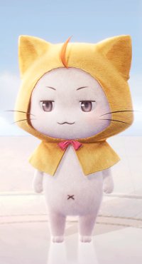 大喵 Momo