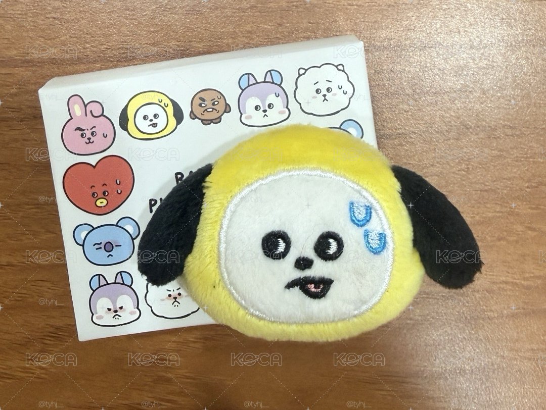 BT21 別針 表情系列 盲盒 CHIMMY