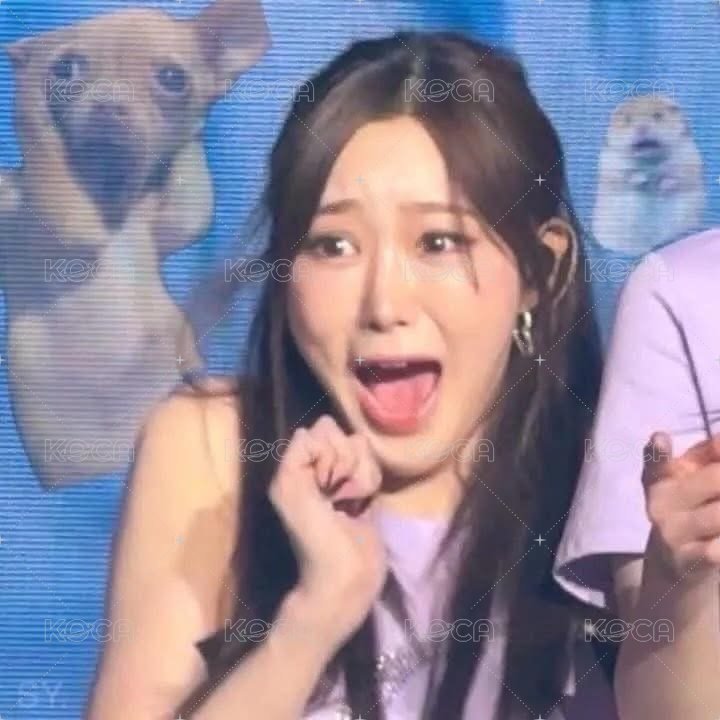 純吉福袋