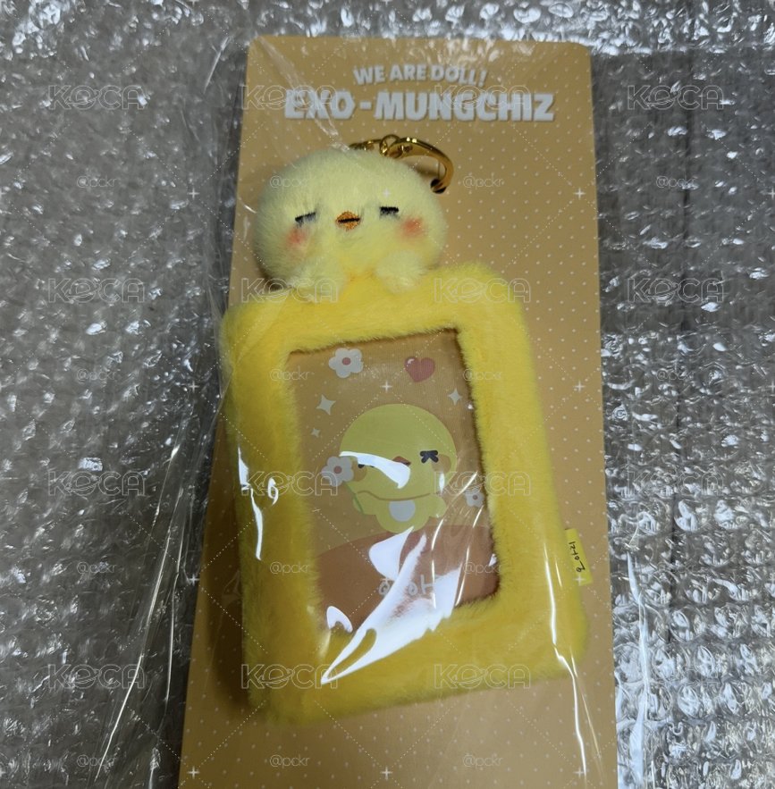 WE ARE DOLL! 卡套 (組) 現貨