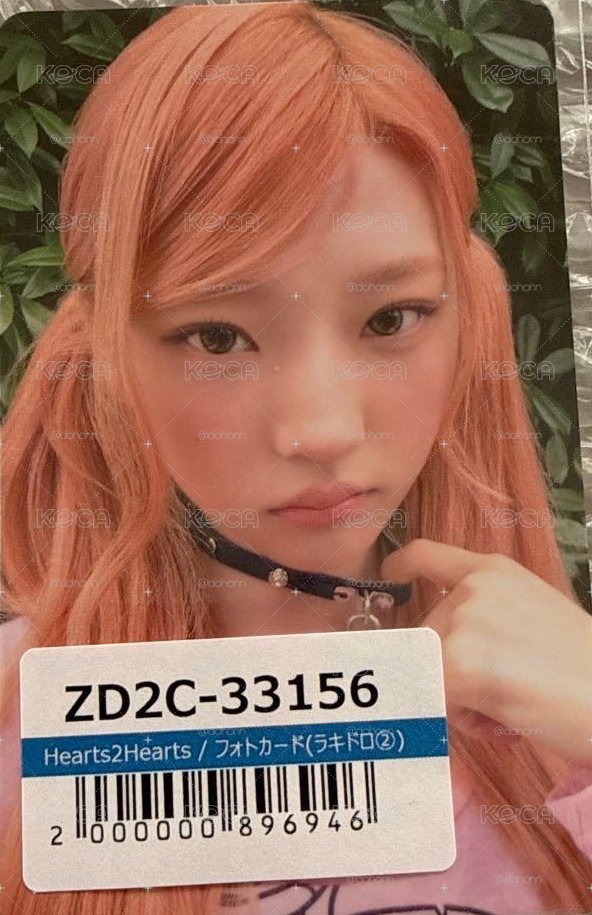 Stella 環球特典