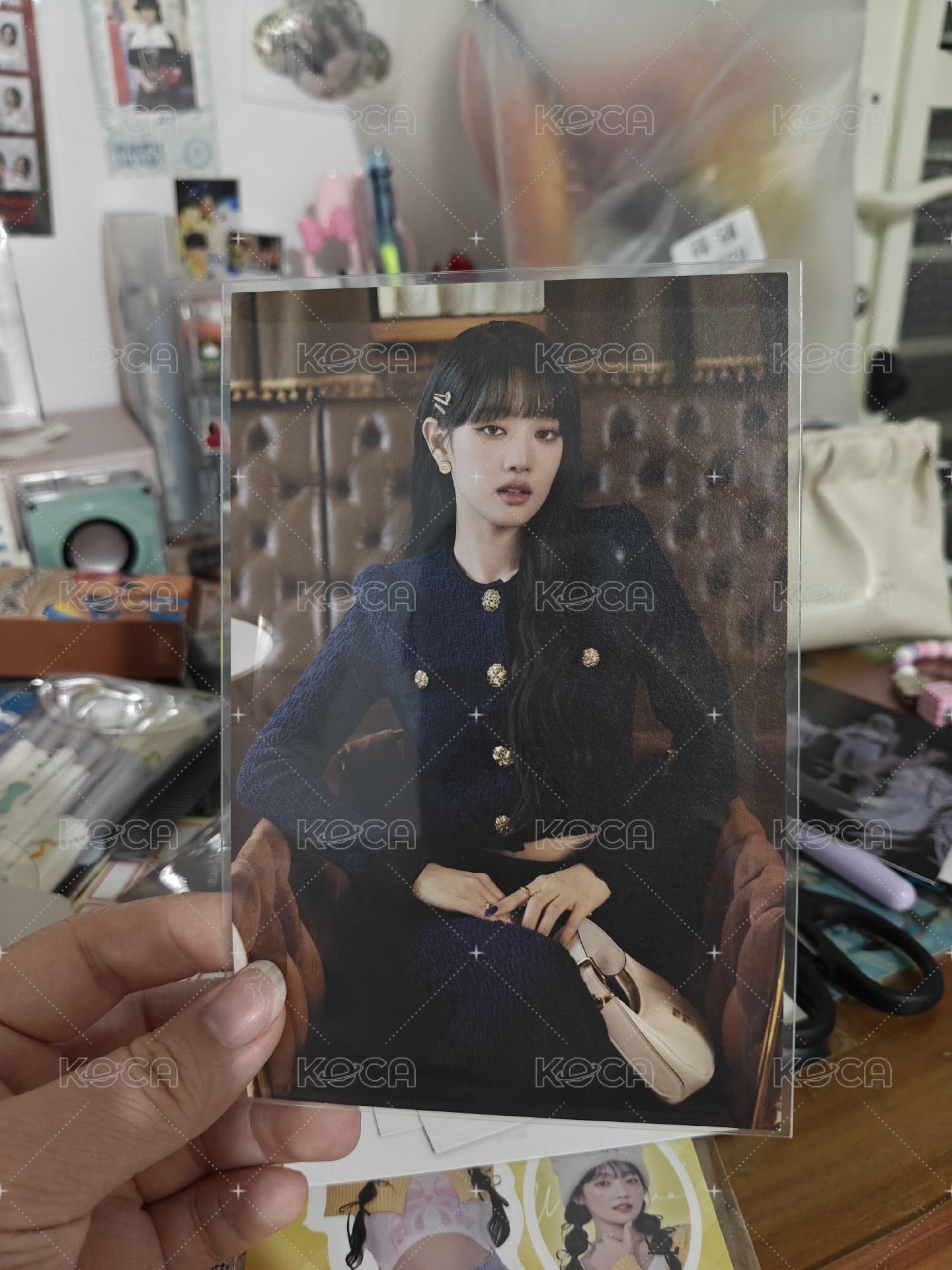 會員妮 豎版