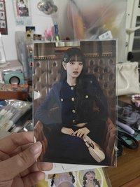 會員妮 豎版