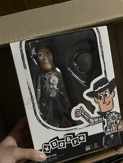TOYSTORY 玩具總動員 胡迪公仔 韓國快閃