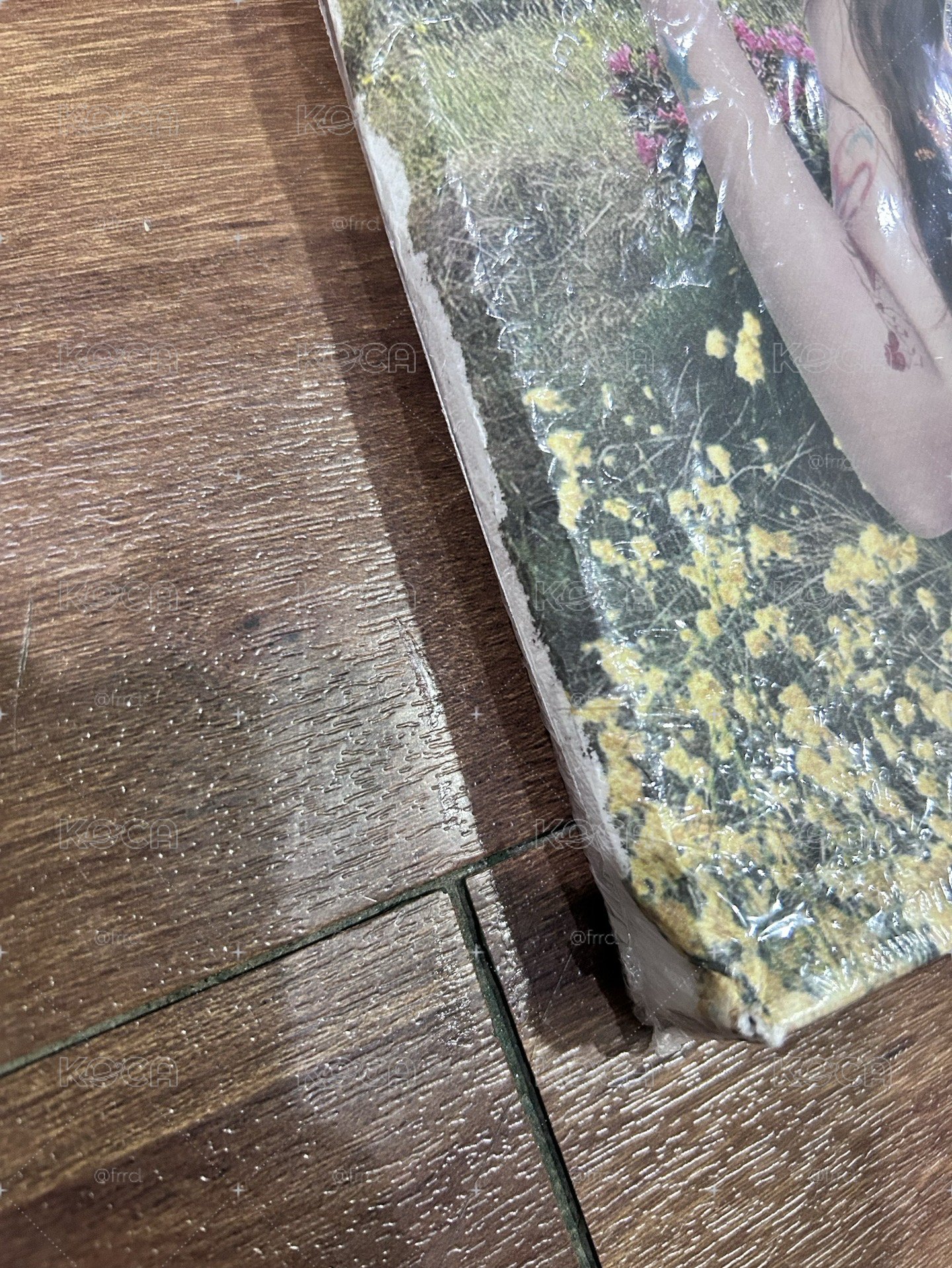 未拆薛油畫專（有損）