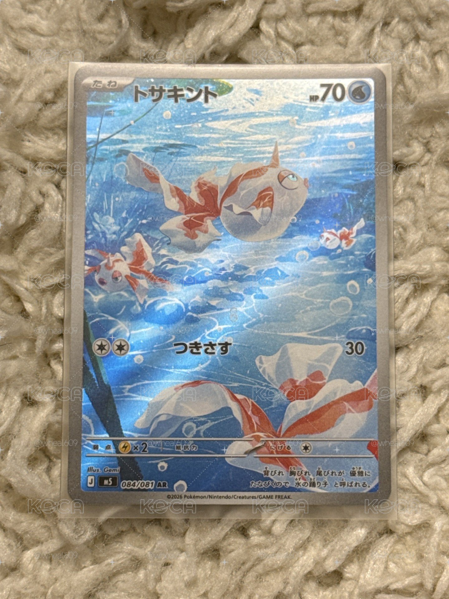 [現貨] 角金魚AR