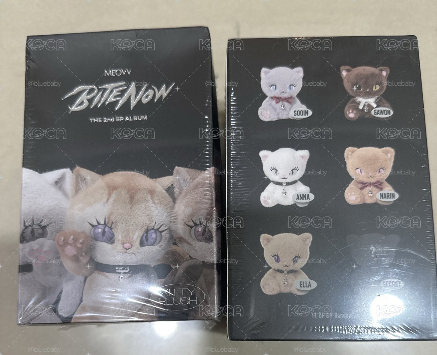 Meovv 未拆娃專 現貨 有下單證明