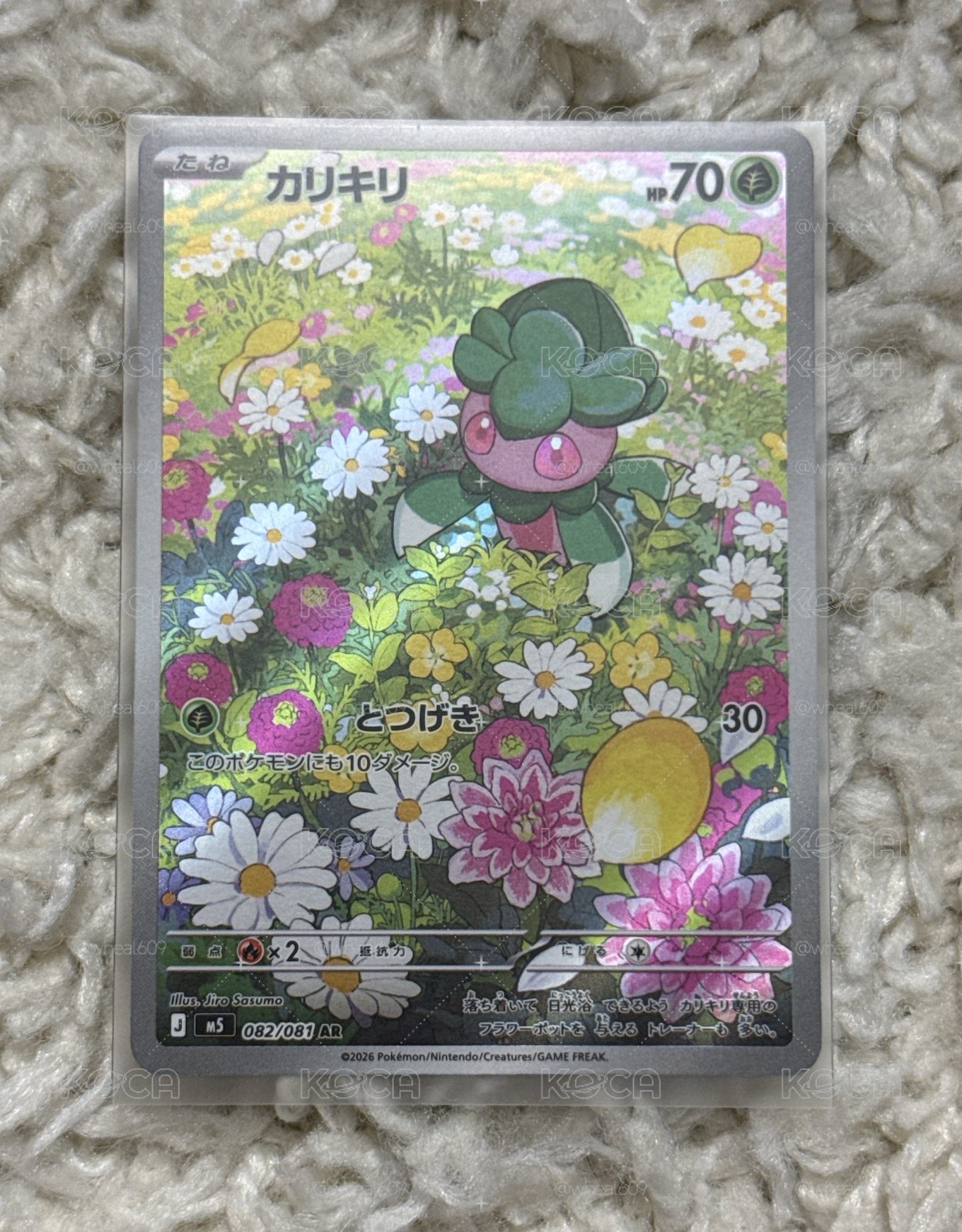 [現貨] 偽螳草 AR