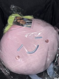 東海抱枕