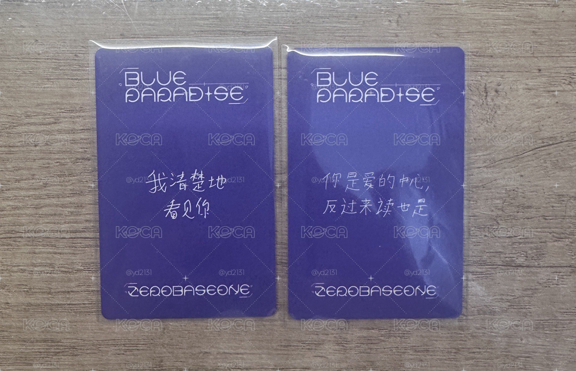 一直娛中文卡背鋭奎