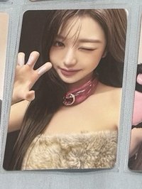 員petit專卡