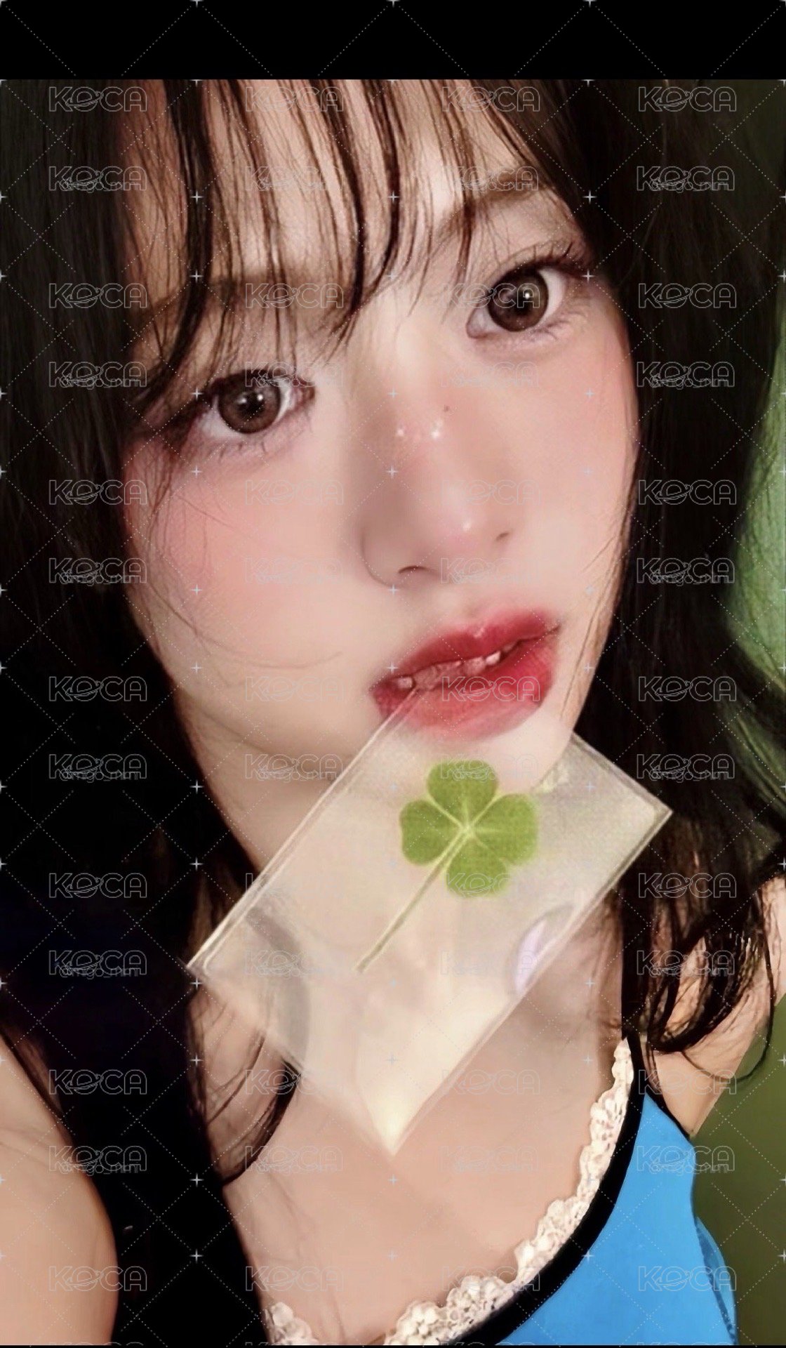 賢含綁（約3～6張）可私看綁（綁卡可能會有變動）🔥非現