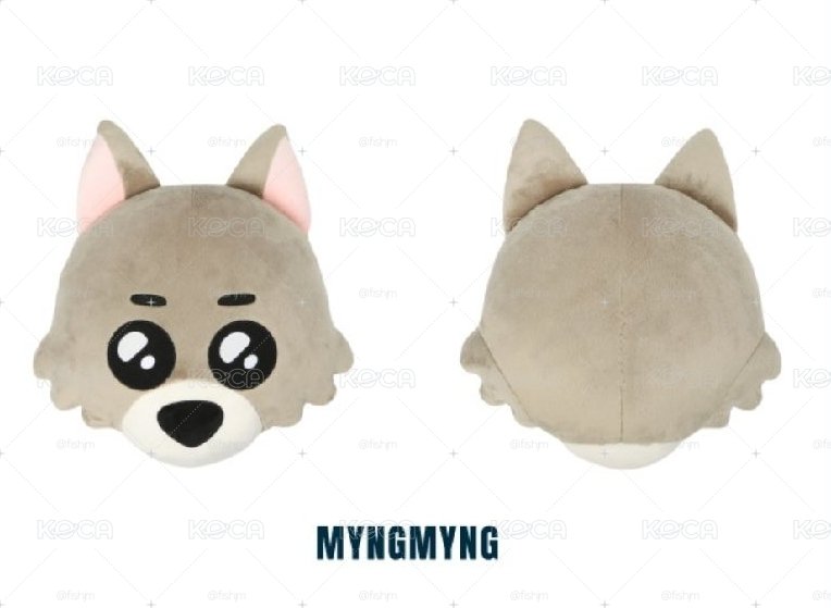 BBNEXDO MYNGMYNG抱枕（已抵台）