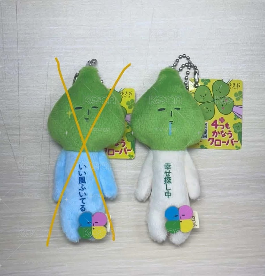 幸運草-白