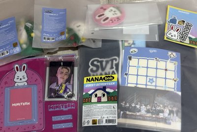 Nana bnb L外套盤