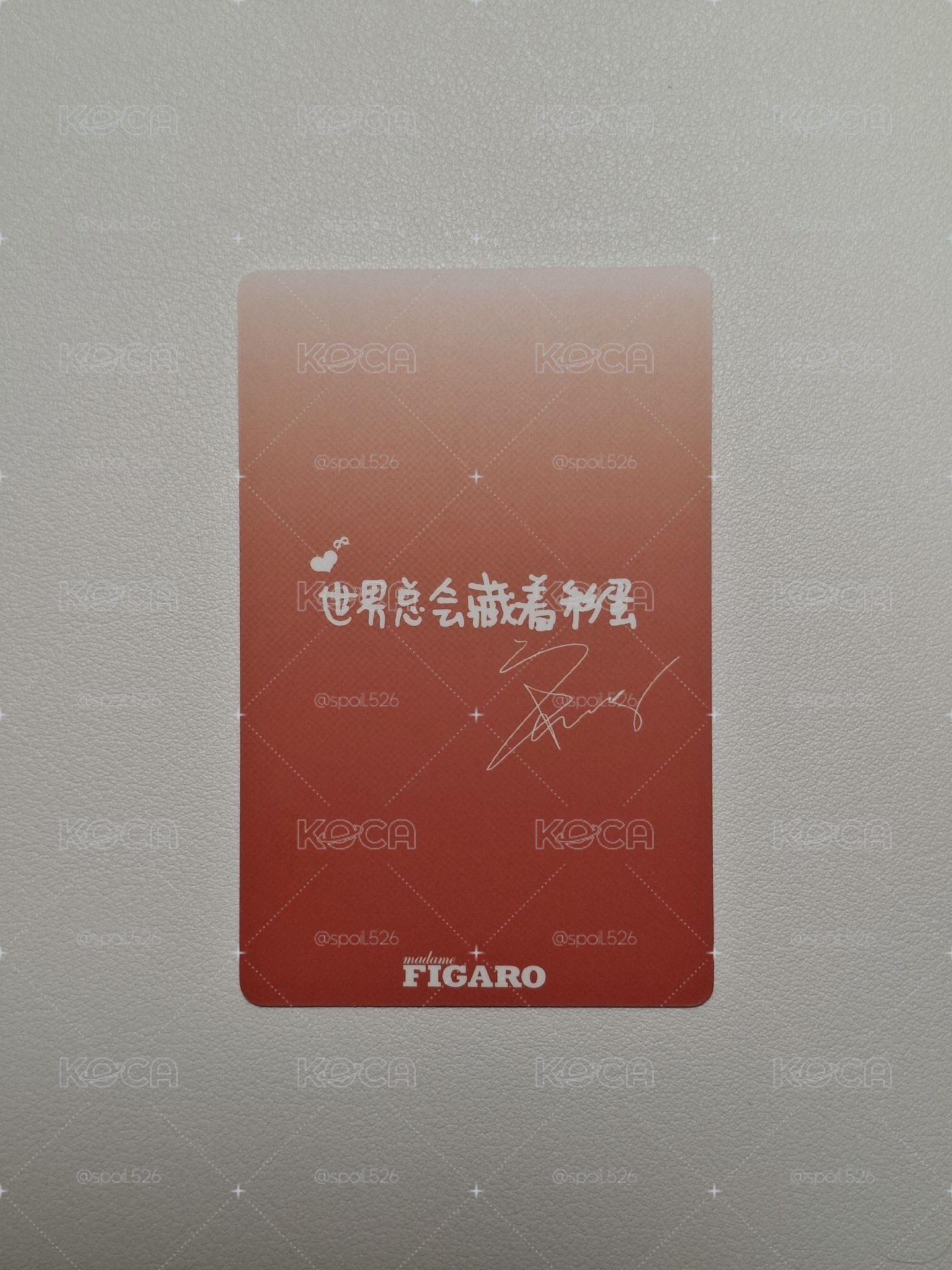 費加羅2.0 B版 雜誌卡 中背