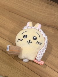 溫泉兔（無吊牌無外帶）