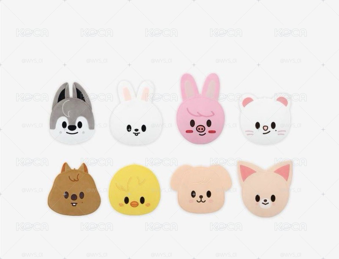 現貨 SKZ 3rd 世巡 扇套 