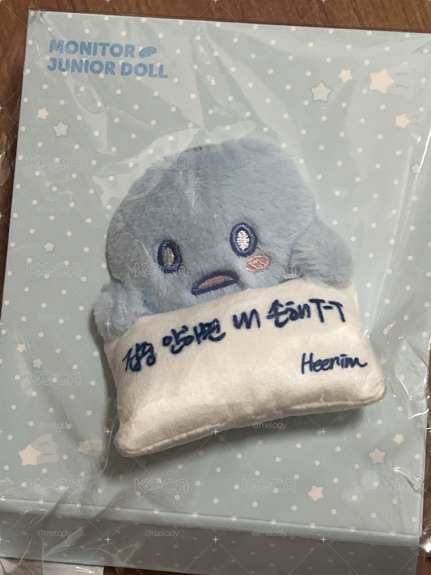 SS10安可場 螢幕掛娃 希澈