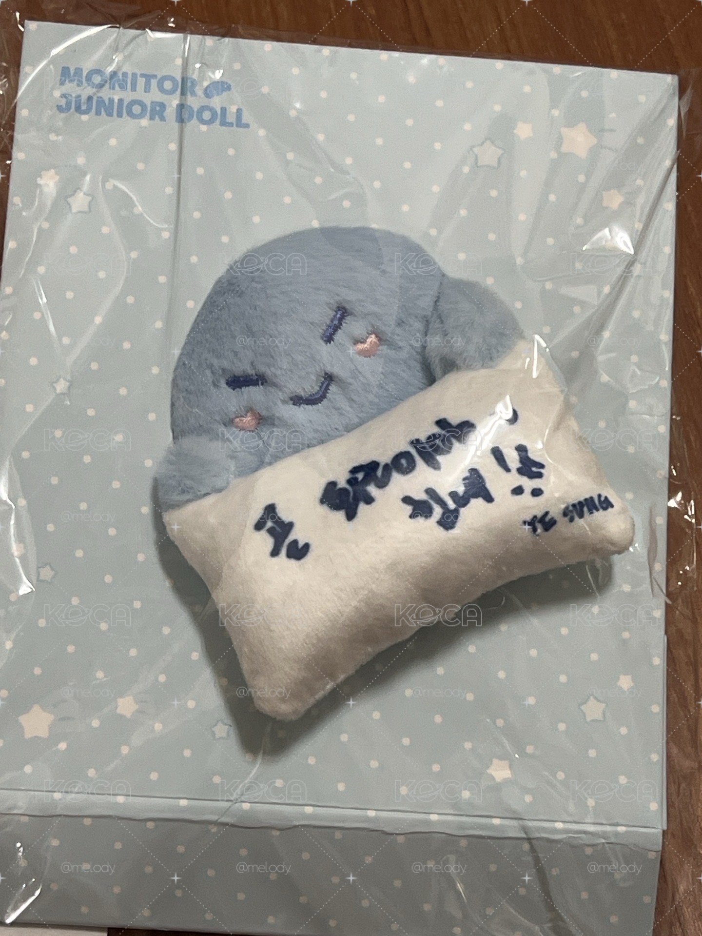 SS10安可場 螢幕掛娃 藝聲