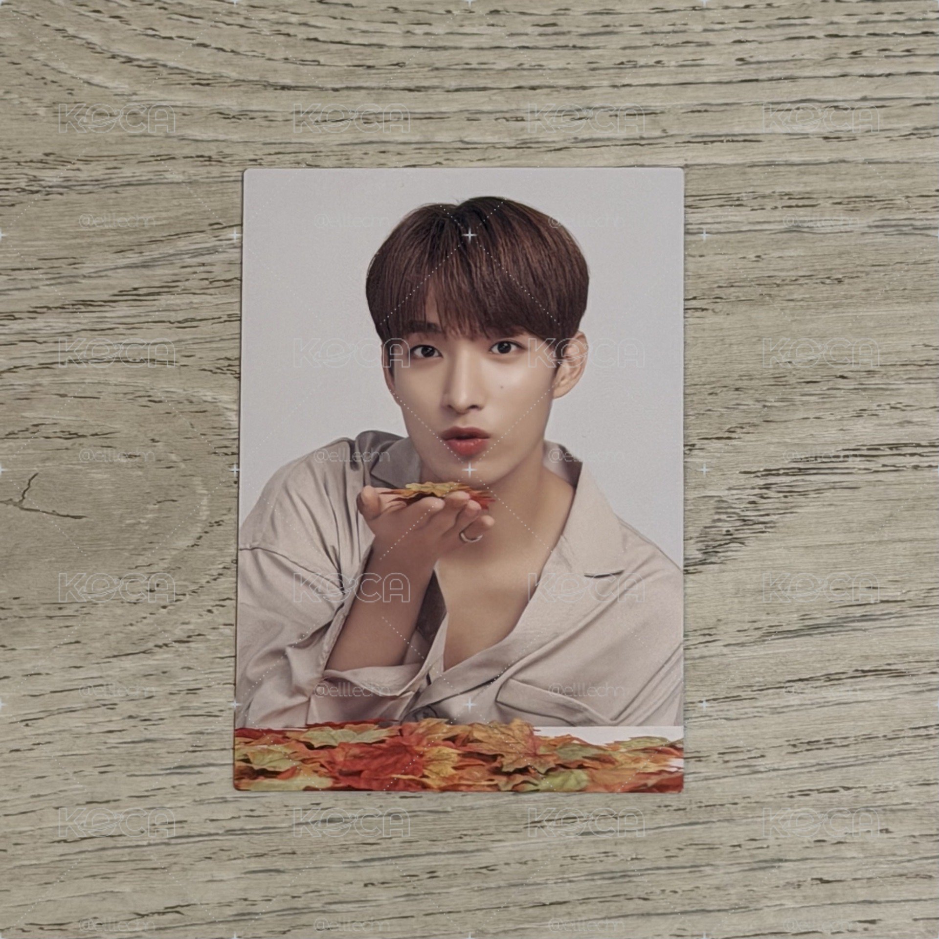 🍕19’ OTY 隨機卡