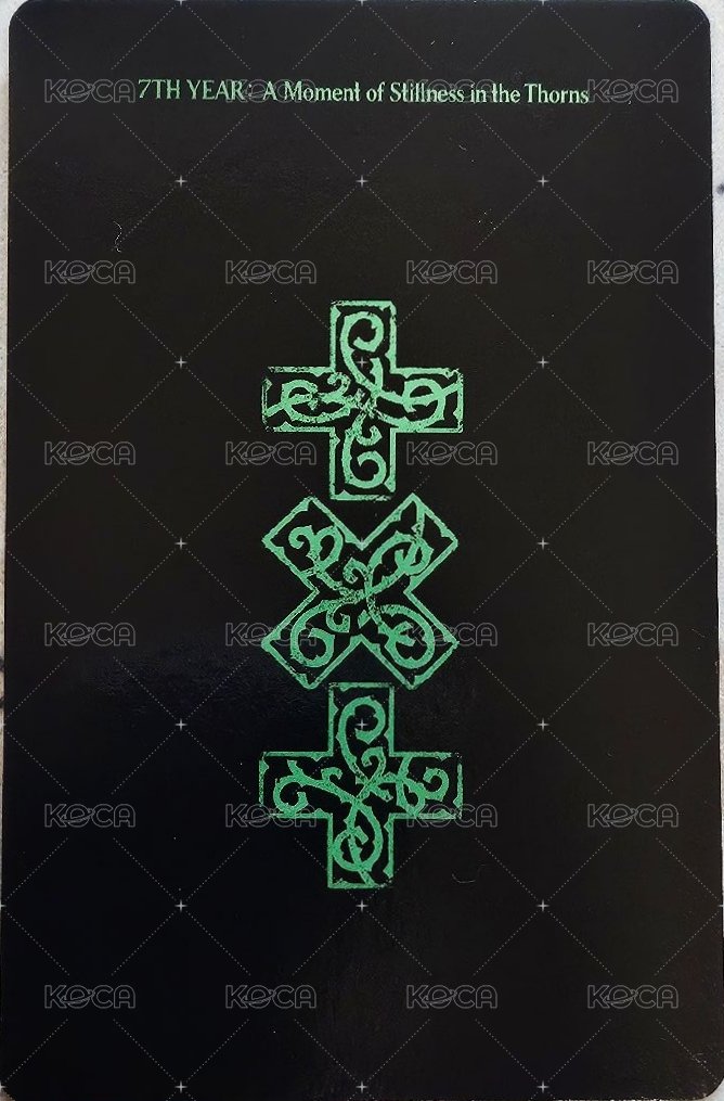 迷八 yzy 4.0 簽售卡  背面