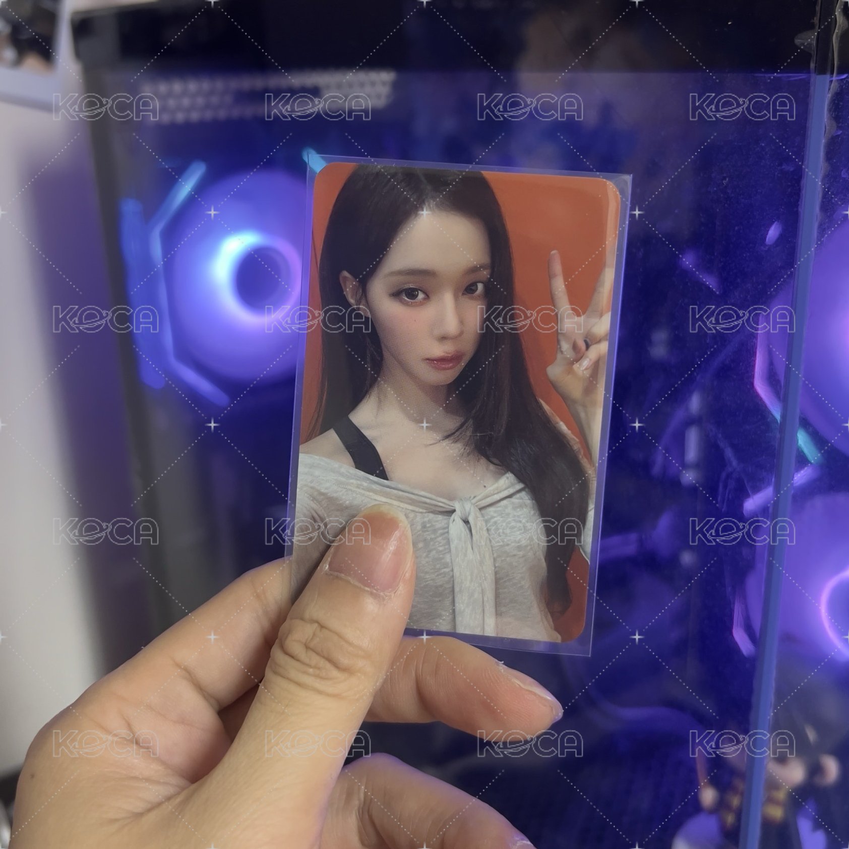 DW MS簽售冬